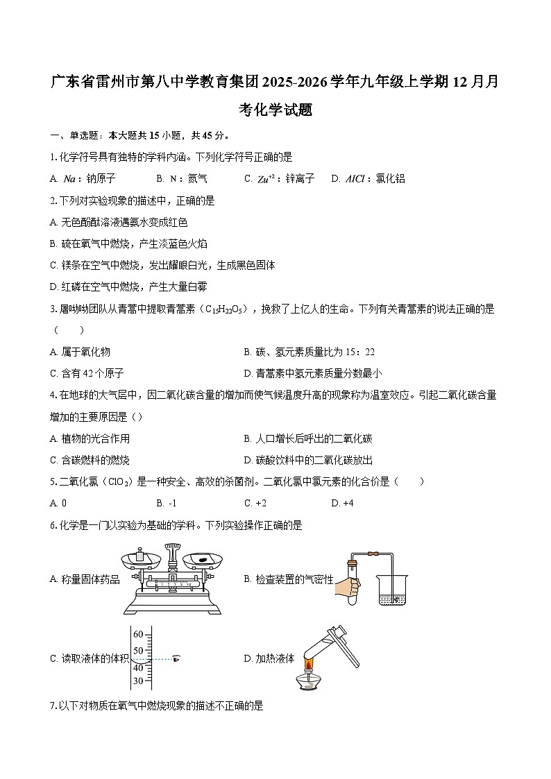 广东省雷州市第八中学教育集团2025-2026学年九年级上学期12月月考化学试题-自定义类型第1页
