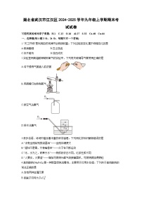 2024-2025学年湖北省武汉市江汉区九年级上学期期末考试化学试卷（学生版）