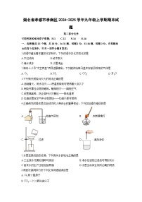 2024-2025学年湖北省孝感市孝南区九年级上学期期末化学试卷（学生版）