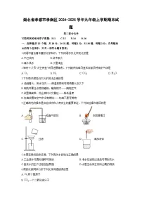 2024-2025学年湖北省孝感市孝南区九年级上学期期末化学试卷(学生版)
