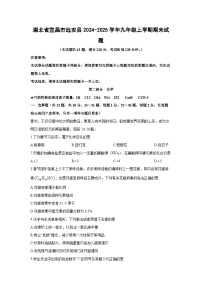 2024-2025学年湖北省宜昌市远安县九年级上学期期末化学试卷（学生版）