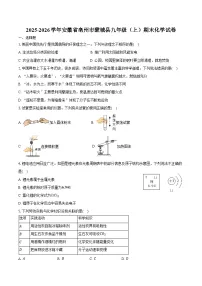 2025-2026学年安徽省亳州市蒙城县九年级（上）期末化学试卷（含答案）