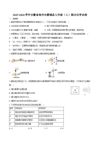 2025-2026学年安徽省亳州市蒙城县九年级(上)期末化学试卷(含答案)