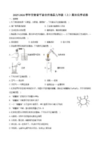 2025-2026学年甘肃省平凉市庄浪县九年级（上）期末化学试卷（含答案）