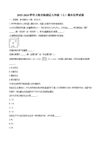 2025-2026学年上海市杨浦区九年级(上)期末化学试卷(含答案)