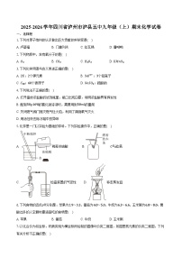 2025-2026学年四川省泸州市泸县五中九年级（上）期末化学试卷（含答案）
