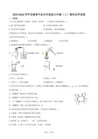 2025-2026学年甘肃省平凉市庄浪县九年级（上）期末化学试卷（含答案）