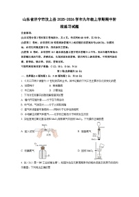 2025-2026学年山东省济宁市汶上县九年级上学期期中阶段(月考)练习化学试卷（学生版）