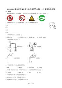 2025-2026学年辽宁省沈阳市沈北新区九年级（上）期末化学试卷（有答案）