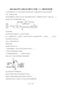 2025-2026学年上海市交大附中九年级(上)期末化学试卷(含答案)