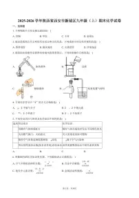 2025-2026学年陕西省西安市新城区九年级（上）期末化学试卷（含答案）
