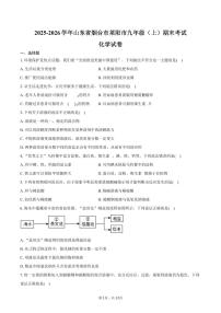 2025-2026学年山东省烟台市莱阳市九年级（上）期末化学试卷（含答案）