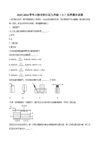 2025-2026学年上海市松江区九年级（上）化学期末试卷（含答案）