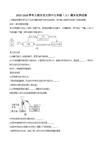 2025-2026学年上海市交大附中九年级(上)期末化学试卷(含答案)