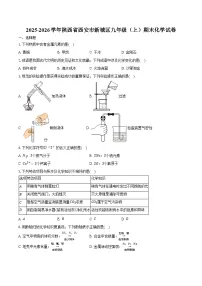 2025-2026学年陕西省西安市新城区九年级（上）期末化学试卷（含答案）
