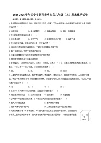 2025-2026学年辽宁省朝阳市喀左县九年级（上）期末化学试卷-自定义类型
