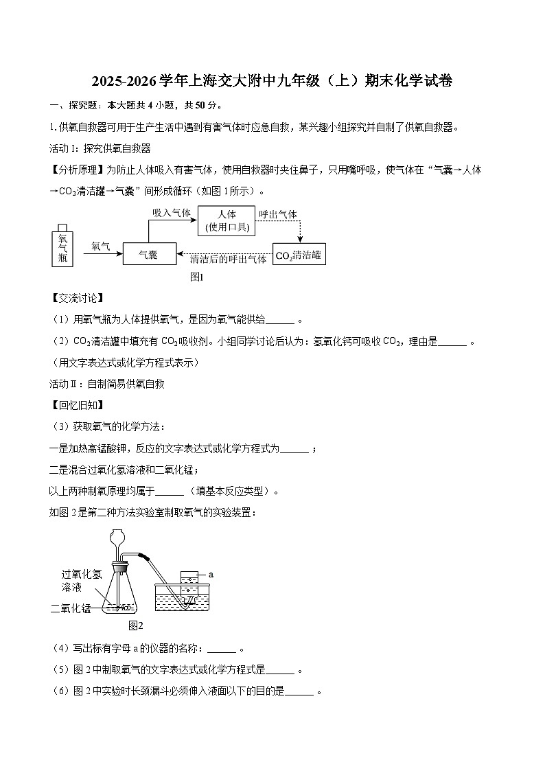 2025-2026学年上海交大附中九年级(上)期末化学试卷-自定义类型第1页