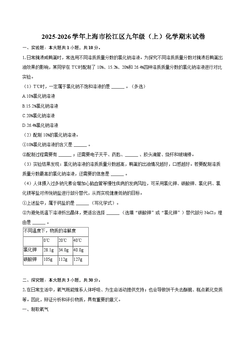 2025-2026学年上海市松江区九年级(上)化学期末试卷-自定义类型第1页