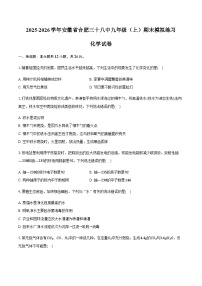 安徽省合肥市第三十八中学2025-2026学年九年级（上）期末化学模拟练习试卷（含答案）