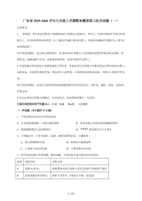 广东省2026届九年级上学期期末模拟练习(一)化学试题(含答案)