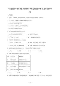 广东省揭阳市部分学校2026届九年级上学期12月月考化学试题（含答案）