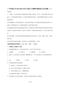 广东省湛江市2026届九年级上学期期中模拟练习（二）化学试题（含答案）
