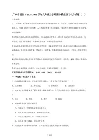 广东省湛江市2026届九年级上学期期中模拟练习（二）化学试题（含答案）