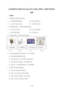 山东省菏泽市巨野县2026届九年级上学期（11月）期中考试化学试题（含答案）