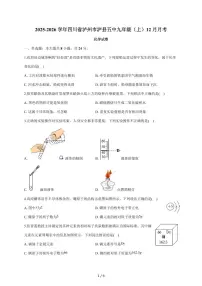 四川省泸州市泸县第五中学2025~2026学年九年级上学期月考化学试题(12月份)含答案