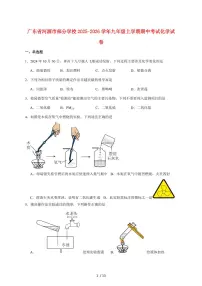 广东省河源市部分学校2026届九年级上学期期中考试化学试卷（附答案）