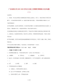 广东省湛江市2026届九年级上学期期中模拟练习（二）化学试卷（附答案）