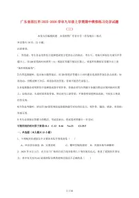 广东省湛江市2026届九年级上学期期中模拟练习(三)化学试卷(附答案)