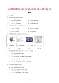 山东省菏泽市巨野县2026届九年级上学期（11月）期中考试化学试卷（附答案）