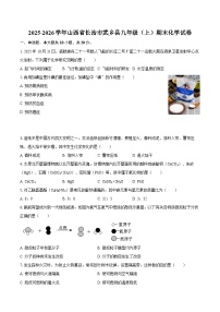 2025-2026学年山西省长治市武乡县九年级（上）期末化学试卷-自定义类型