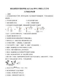 湖北省武汉外国语学校2025-2026学年上学期12月月考九年级化学试卷（含答案）