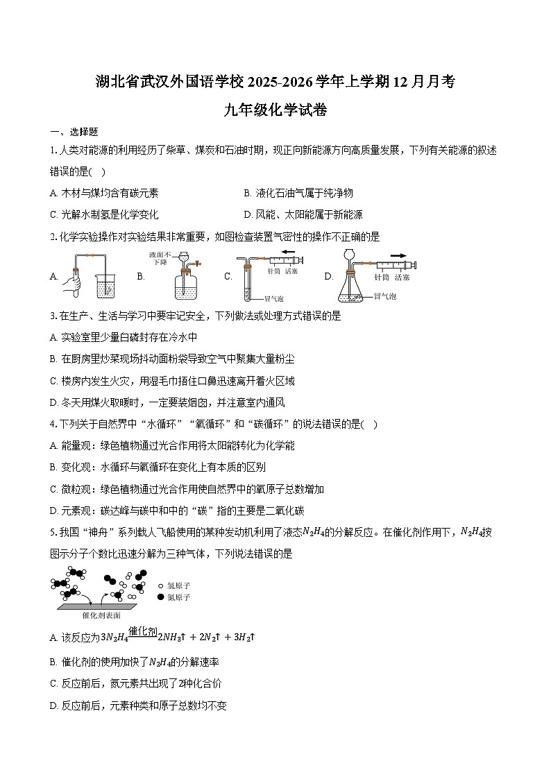 湖北省武汉外国语学校2025-2026学年上学期12月月考九年级化学试卷(含答案)第1页