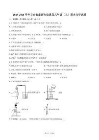 2025-2026学年甘肃省定西市临洮县九年级(上)期末化学试卷(含答案)