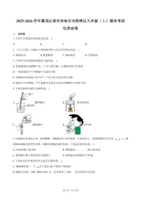 2025-2026学年黑龙江省齐齐哈尔市铁锋区九年级（上）期末化学试卷（含答案）