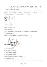 2025-2026学年上海市浦东新区九年级（上）期末化学试卷（一模）（含答案）