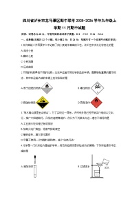 2025-2026学年四川省泸州市龙马潭区期中联考九年级上学期11月期中化学试卷（学生版）
