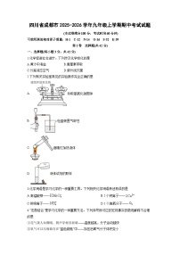 2025-2026学年四川省成都市九年级上学期期中考试化学试卷(学生版)