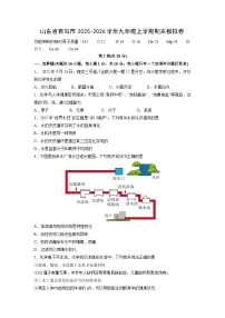 2025-2026学年山东省青岛市九年级上学期期末模拟卷化学试卷（学生版）