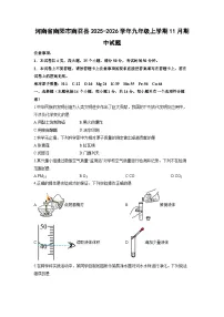 2025-2026学年河南省南阳市南召县九年级上学期11月期中化学试卷（学生版）