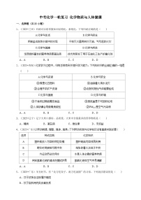 备2026年中考化学一轮复习 化学物质与人体健康练习题（含解析）