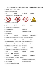 北京市西城区2025-2026学年九年级上学期期末考试化学试题-自定义类型