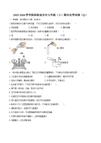 2025-2026学年陕西省延安市九年级（上）期末化学试卷（Q）-自定义类型