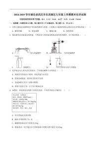 2024-2025学年湖北省武汉市东西湖区九年级上学期期末考试化学试卷(有（有答案)