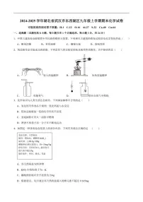 2024-2025学年湖北省武汉市东西湖区九年级上学期期末考试化学试卷(有(有答案)