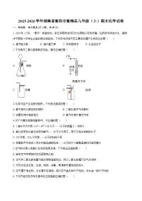 2025-2026学年湖南省衡阳市衡南县九年级（上）期末化学试卷-自定义类型
