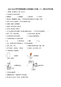 2025-2026学年河南省商丘市柘城县九年级（上）期末化学试卷-自定义类型